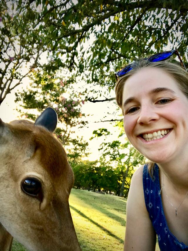 Employee with a deer in Japan